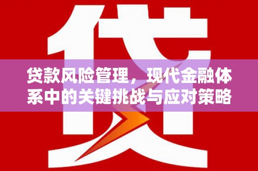 宝清贷款风险管理，现代金融体系中的关键挑战与应对策略